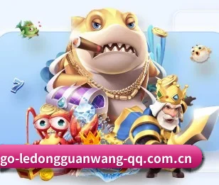 五大服务分区,信息按项目分类 | LD SPORTS