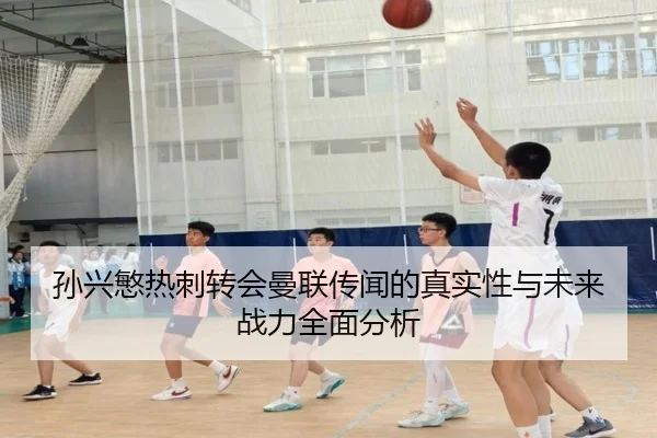 孙兴慜热刺转会曼联传闻的真实性与未来战力全面分析 - LD SPORTS