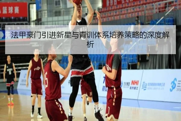 法甲豪门引进新星与青训体系培养策略的深度解析 - LD SPORTS